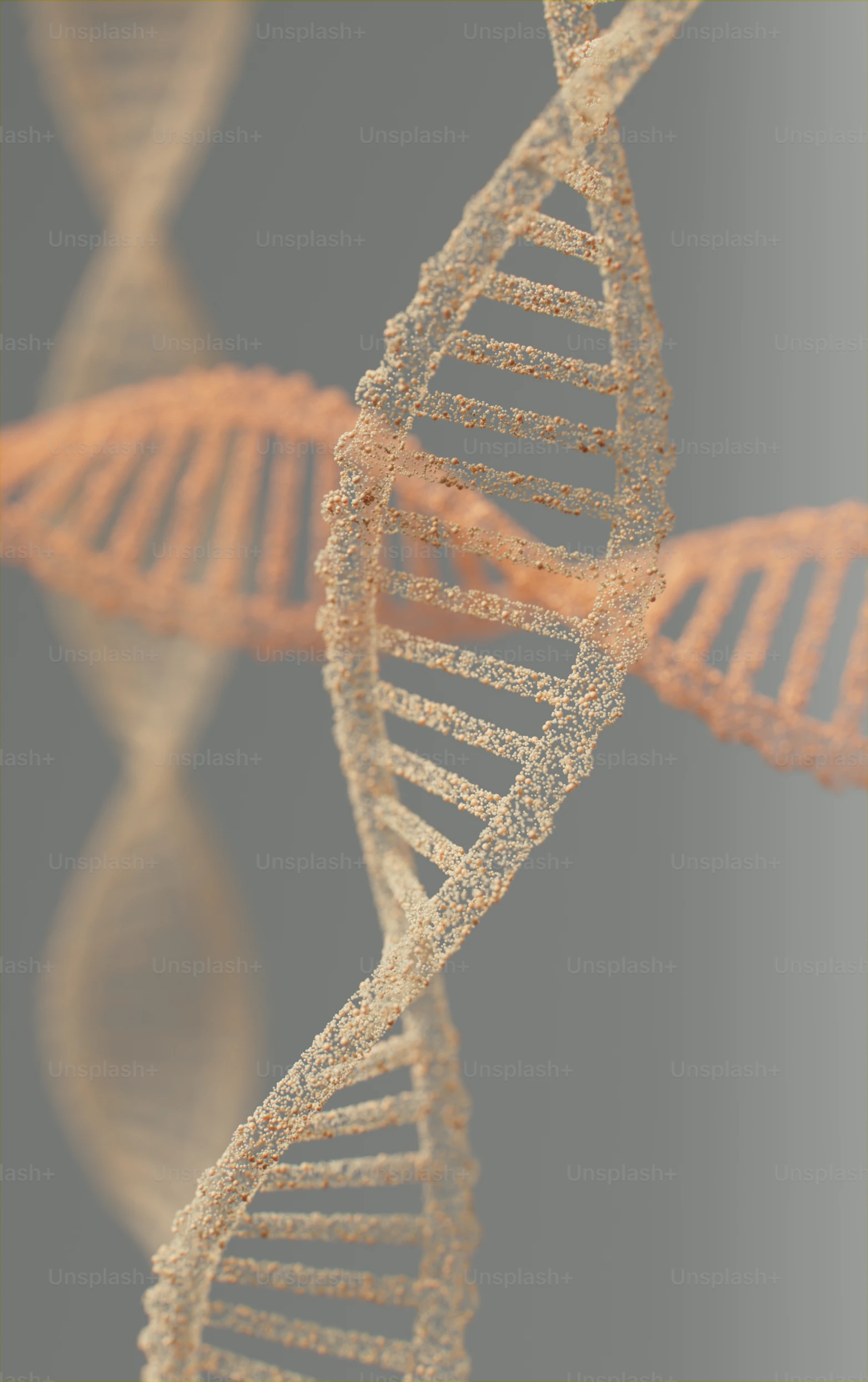 Kosttillskott mot åldrande