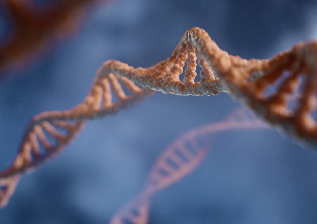 De 10 åldersmarkörerna - Förstå och motverka åldrandets huvudfaktorer