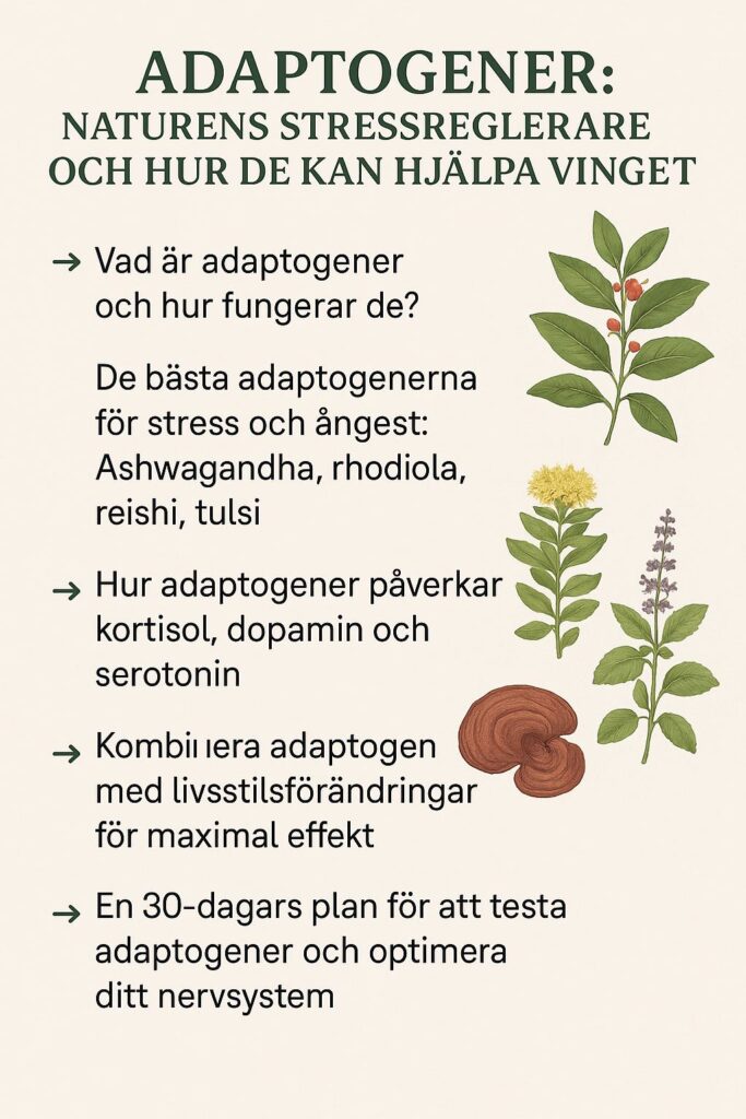 Adaptogener - naturens stressreglerare och hur de kan hjälpa vid ångest
