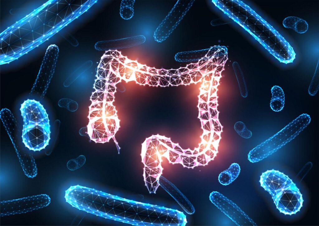 Låga nivåer av taurin vid IBD – ny studie visar en dold metabol störning vid Crohns och ulcerös kolit